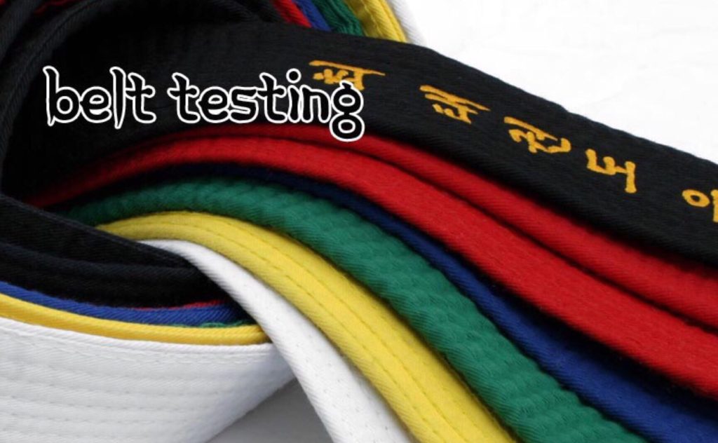 Taekwondo Promotion Test