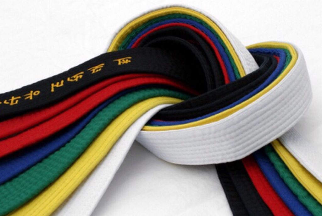 Taekwondo Promotion Test